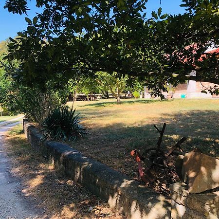Aligvar Vendeghaz Salfold Exterior foto
