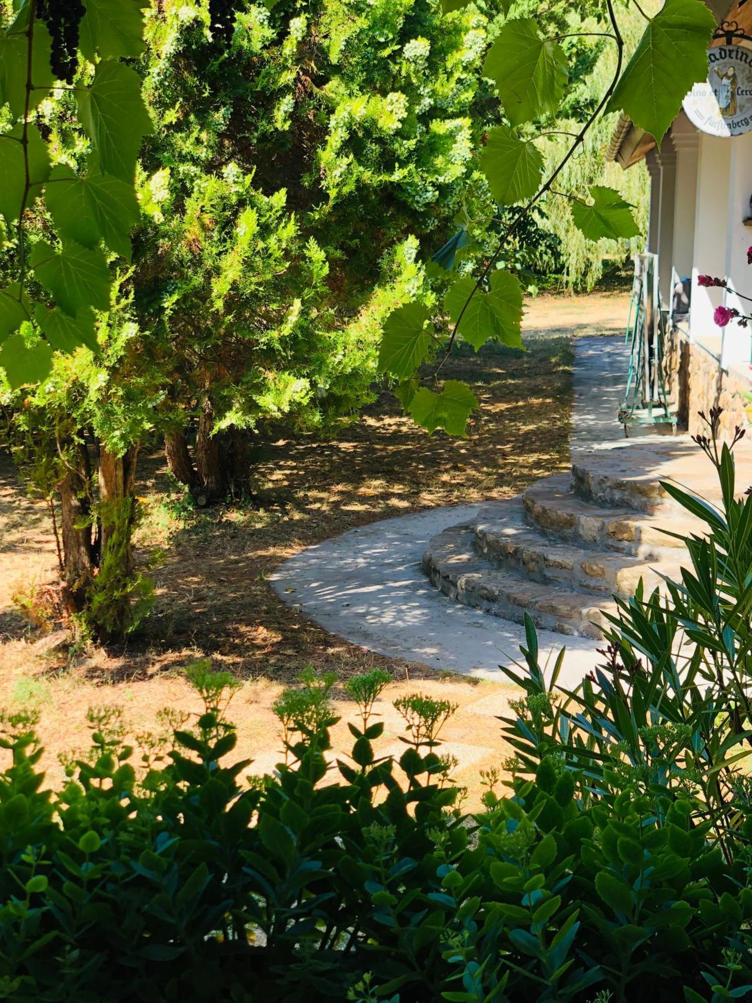 Aligvar Vendeghaz Salfold Exterior foto